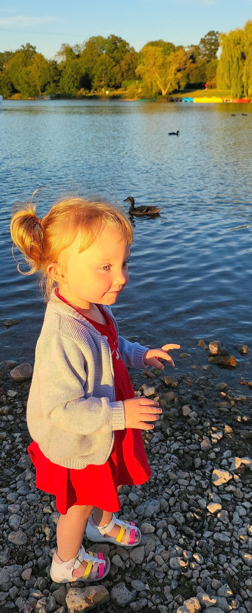 Mya participe au concours pour gagner de l'argent avec cette photo : arm, baby_toddler_clothing, bird, child, fun, hand, happy, lake, leisure, ocean, organ, people_in_nature, person, photograph, standing, summer, sunlight, toddler, tree, vertebrate
