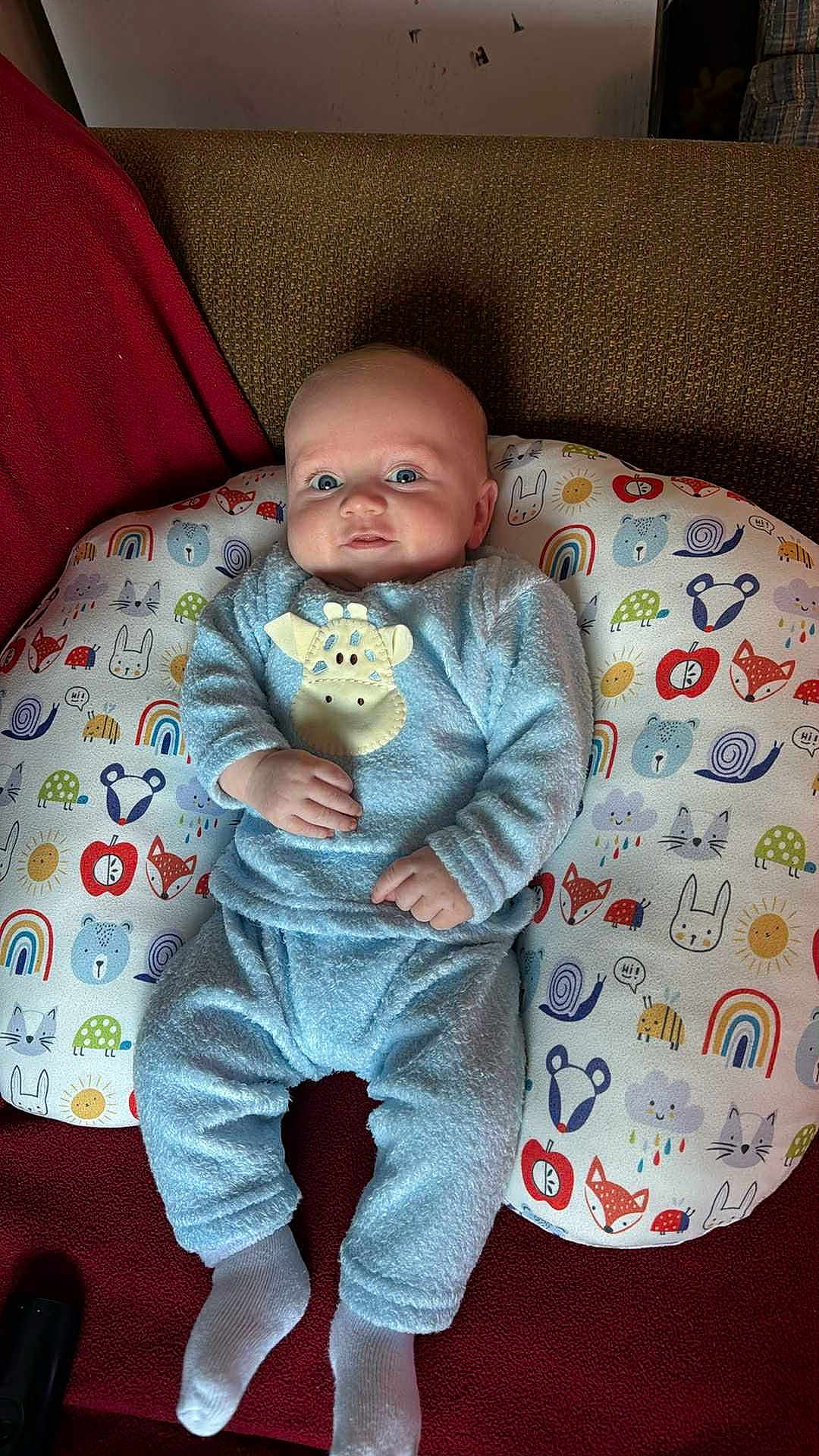 William is registered to the contest to win money with this photo: baby, infant, blue_clothing, giraffe_applique, pillow, animal_print, smile, face, child, cozy, socks, seated, indoor, cute, person, home, furniture, patterned, comfort, soft