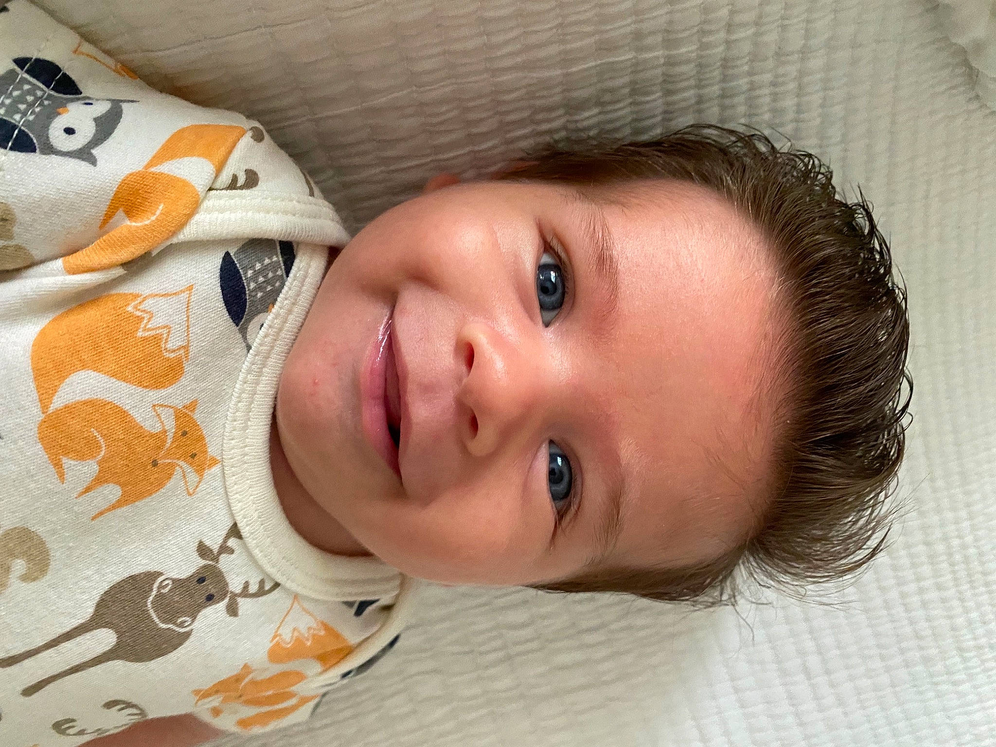 Caden is registered to the contest to win money with this photo: cheek, chin, eye, eyebrow, eyelash, face, forehead, hairstyle, happy, head, iris, joy, lip, mammal, neck, nose, person, skin, sleeve, smile