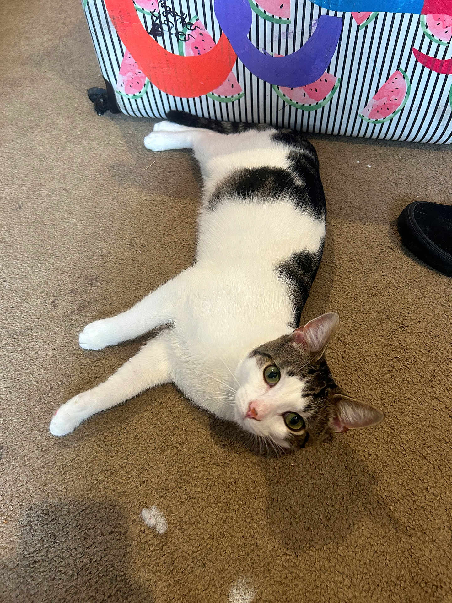 Tiny