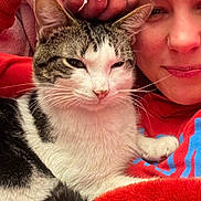 Tiny joined the competition — help win amazing prizes! casual, cat, close_up, comfort, cozy, cuddling, expression, face, feline, fur, hand, hoodie, indoor, person, pet, portrait, red_clothing, relaxed, ring, whiskers