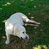 Hyzia participe au concours pour gagner de l'argent avec cette photo :