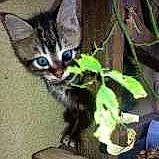 Pilou a rejoint le concours — aidez-le/la à gagner de superbes lots !