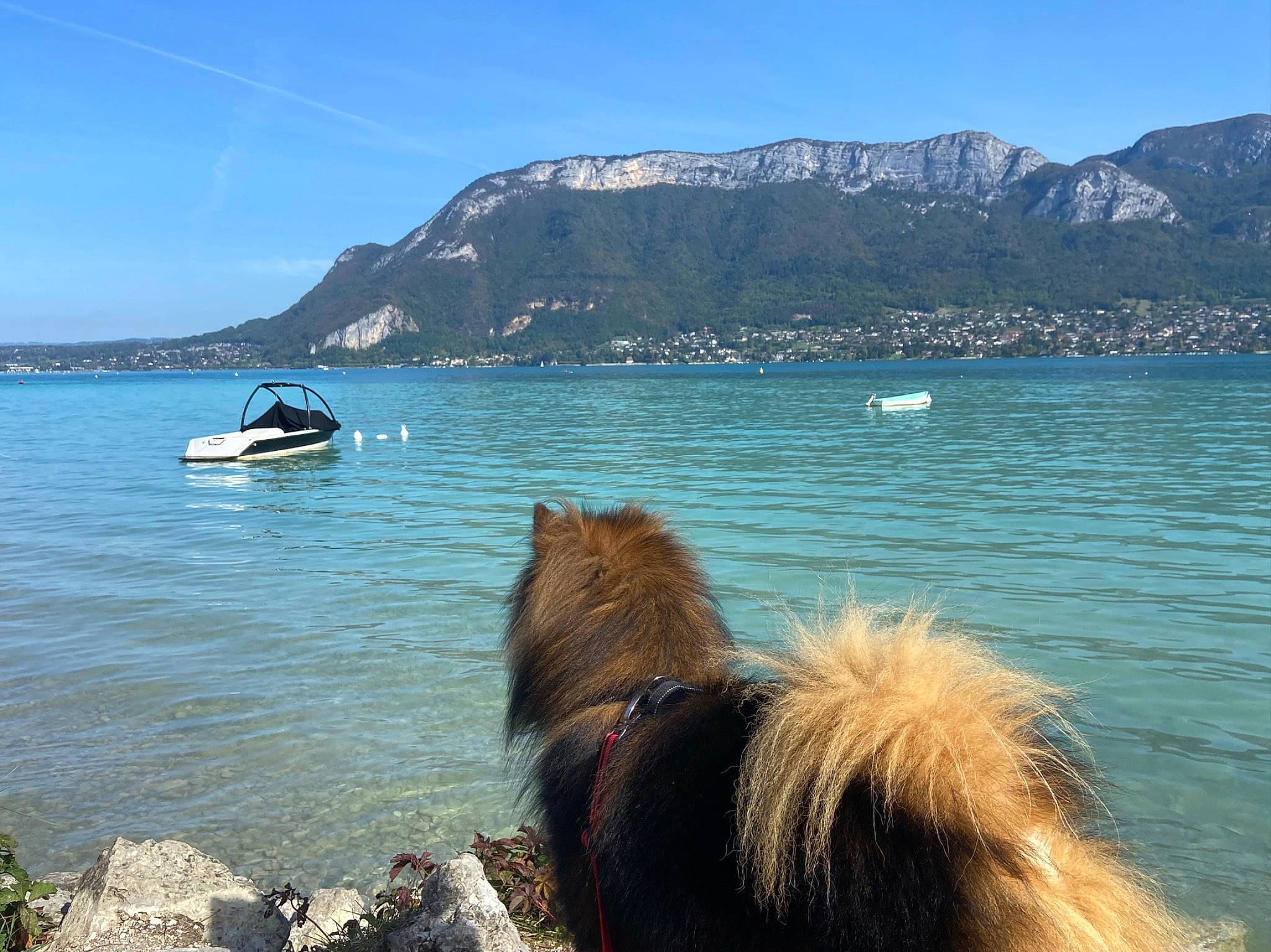 Percy Jackson a rejoint le concours — aidez-le/la à gagner de superbes lots ! blue, boat, boats_and_boating_equipment_and_supplies, coast, coastal_and_oceanic_landforms, headland, lake, landscape, leisure, mountain, mountain_range, recreation, sky, summer, travel, tree, vehicle, water, watercraft, working_animal