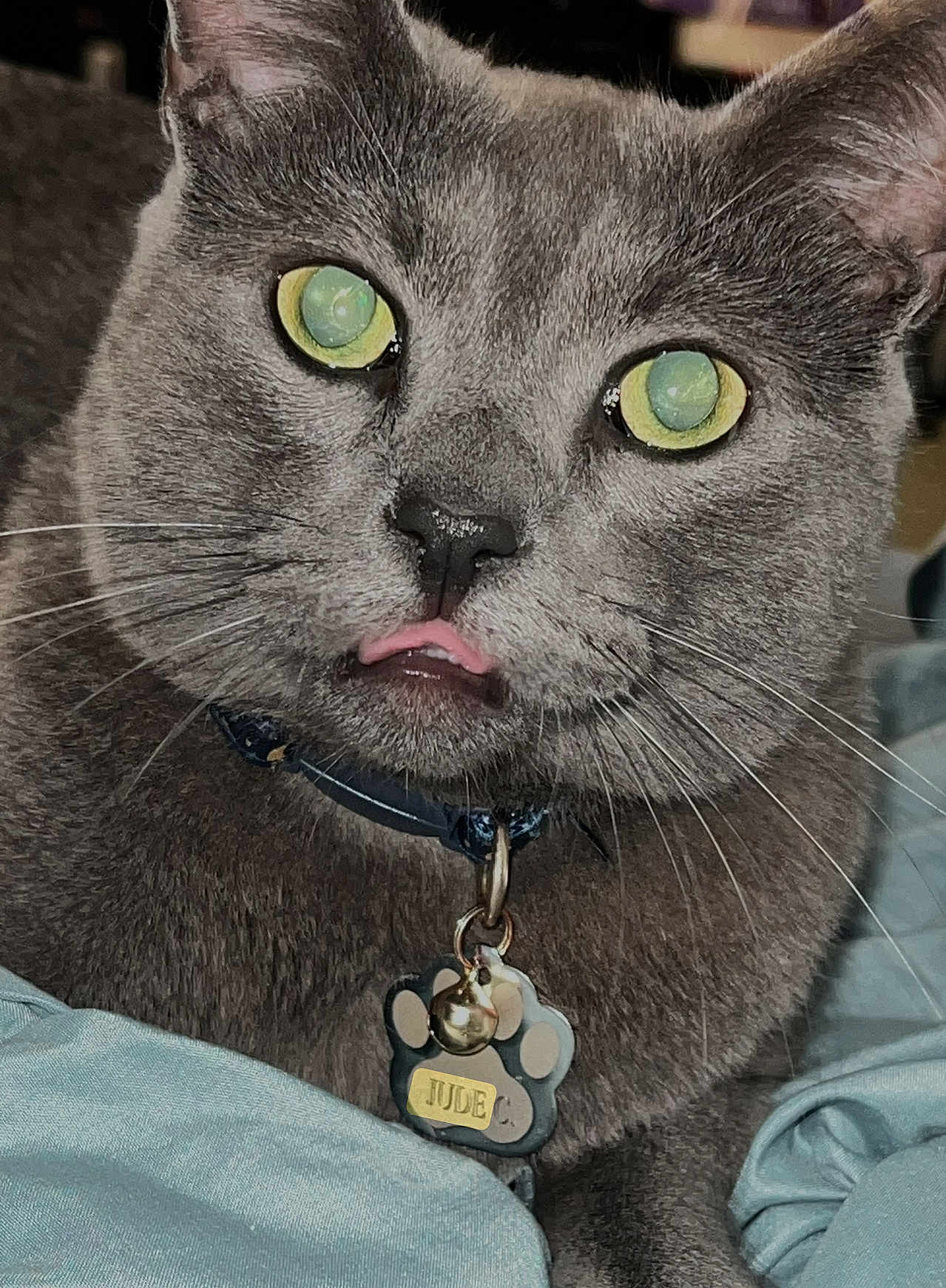 Jude