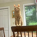 Avery D.