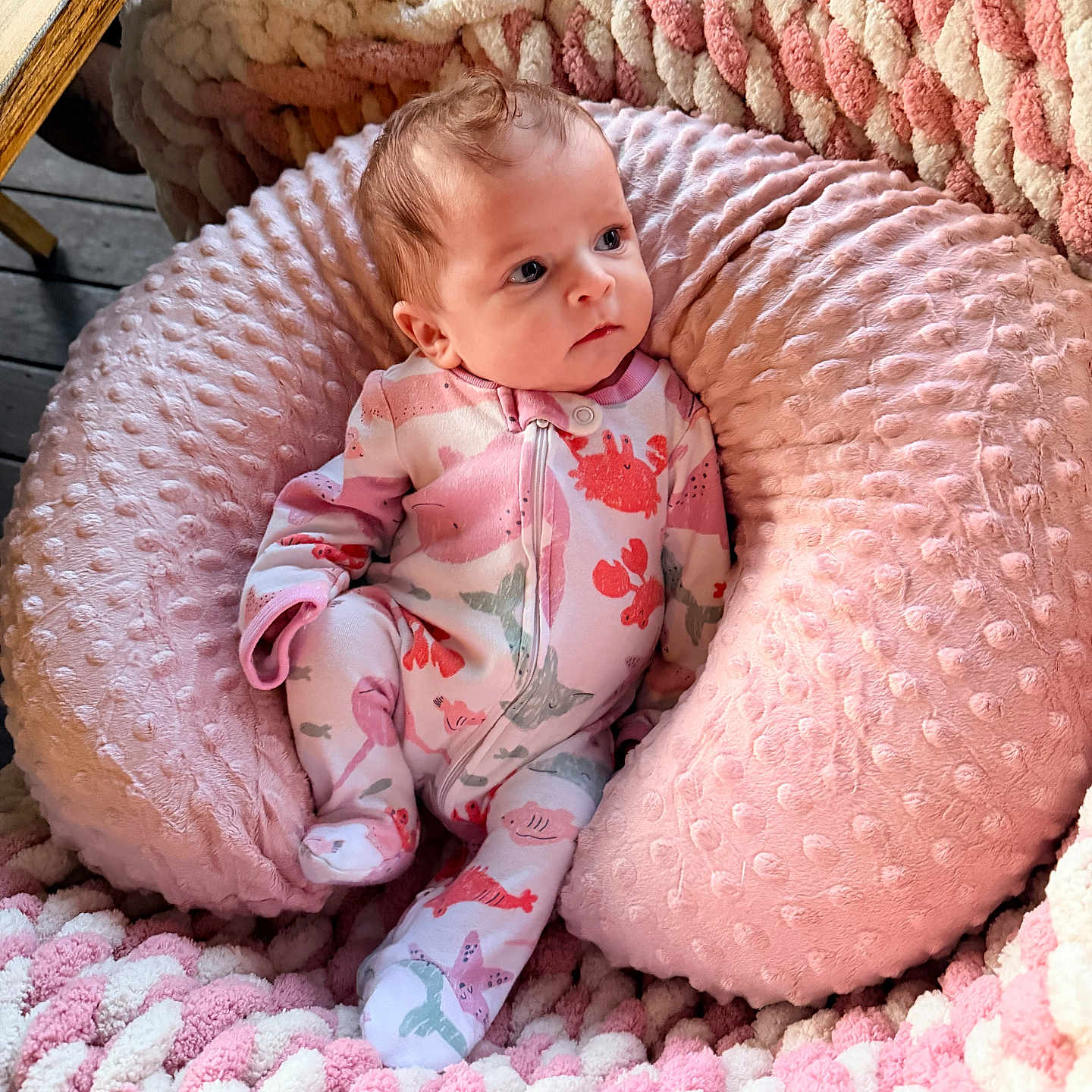 Charlee joined the competition — help win amazing prizes! baby, infant, pink, plush, cushion, blanket, knit, cozy, onesie, patterned_clothing, indoor, child, portrait, soft_texture, seated, cute, face, looking_away, resting, comfortable