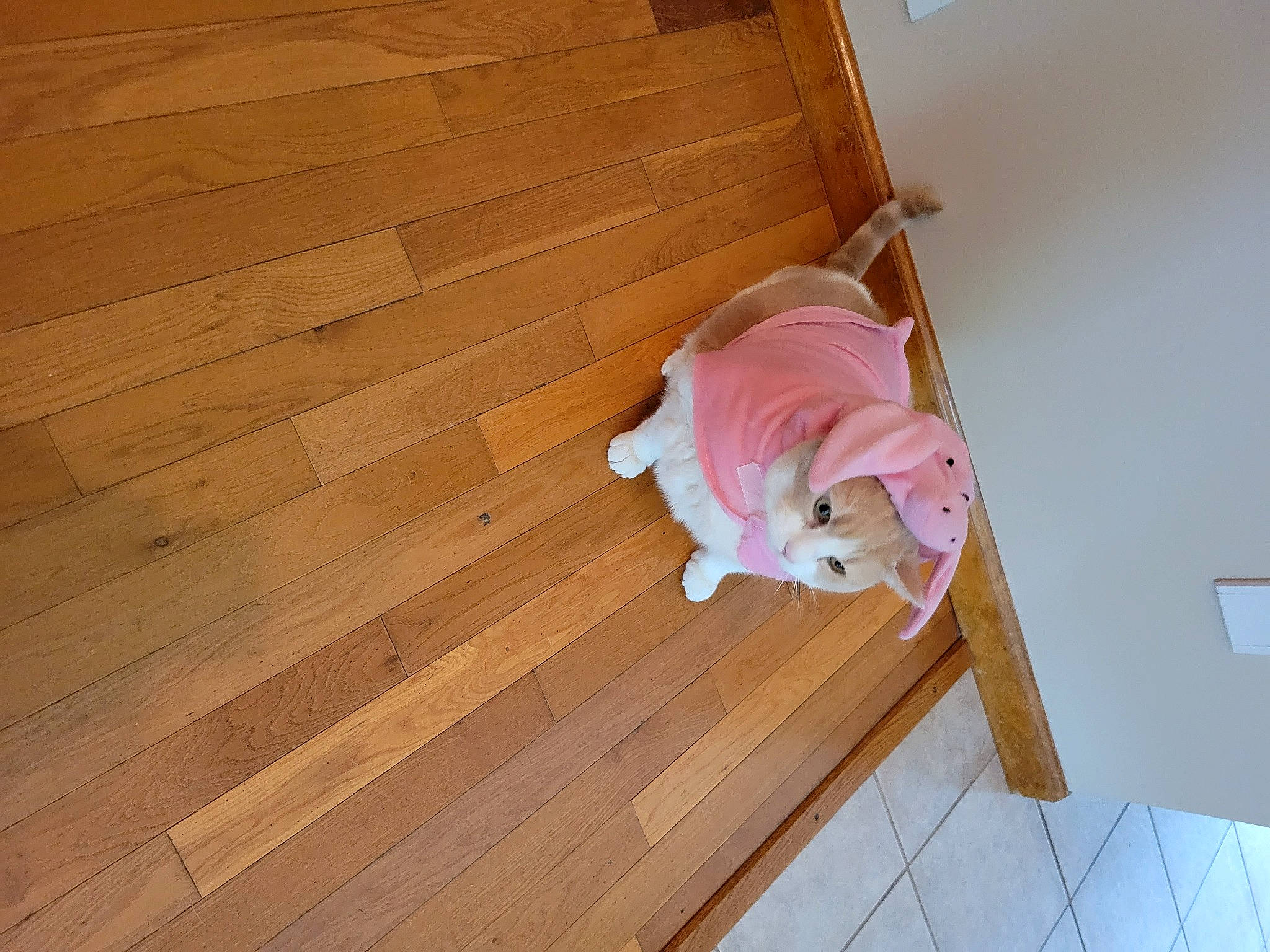 Addilynn is registered to the contest to win money with this photo: baby, baby_products, baby_toddler_clothing, child, comfort, floor, flooring, hardwood, laminate_flooring, lumber, magenta, pattern, peach, plank, plywood, room, varnish, wood, wood_flooring, wood_stain