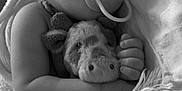 Anakin is registered to the contest to win money with this photo: baby, sleeping, pacifier, plush_toy, cow, blanket, fringe, close_up, monochrome, infant, peaceful, cute, cuddling, soft_texture, wrapped, face, hand, rest, cozy, portrait