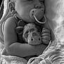 baby, sleeping, pacifier, plush_toy, cow, blanket, fringe, close_up, monochrome, infant, peaceful, cute, cuddling, soft_texture, wrapped, face, hand, rest, cozy, portrait