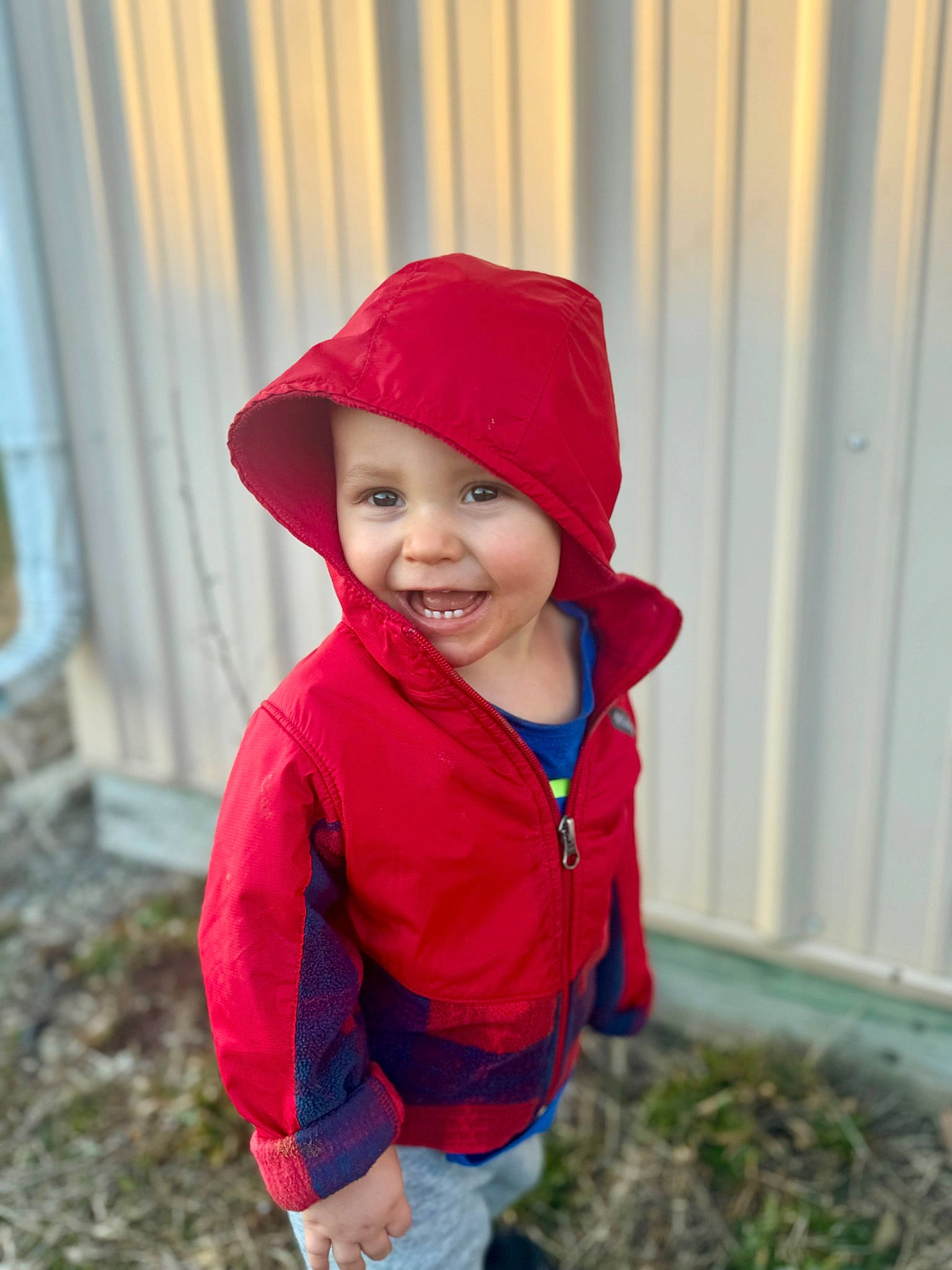 Sawyer joined the competition — help win amazing prizes! cap, child, clothing, eye, face, grass, happy, hat, head, headgear, headwear, human_body, jacket, joy, leaf, lip, outerwear, person, plant, smile