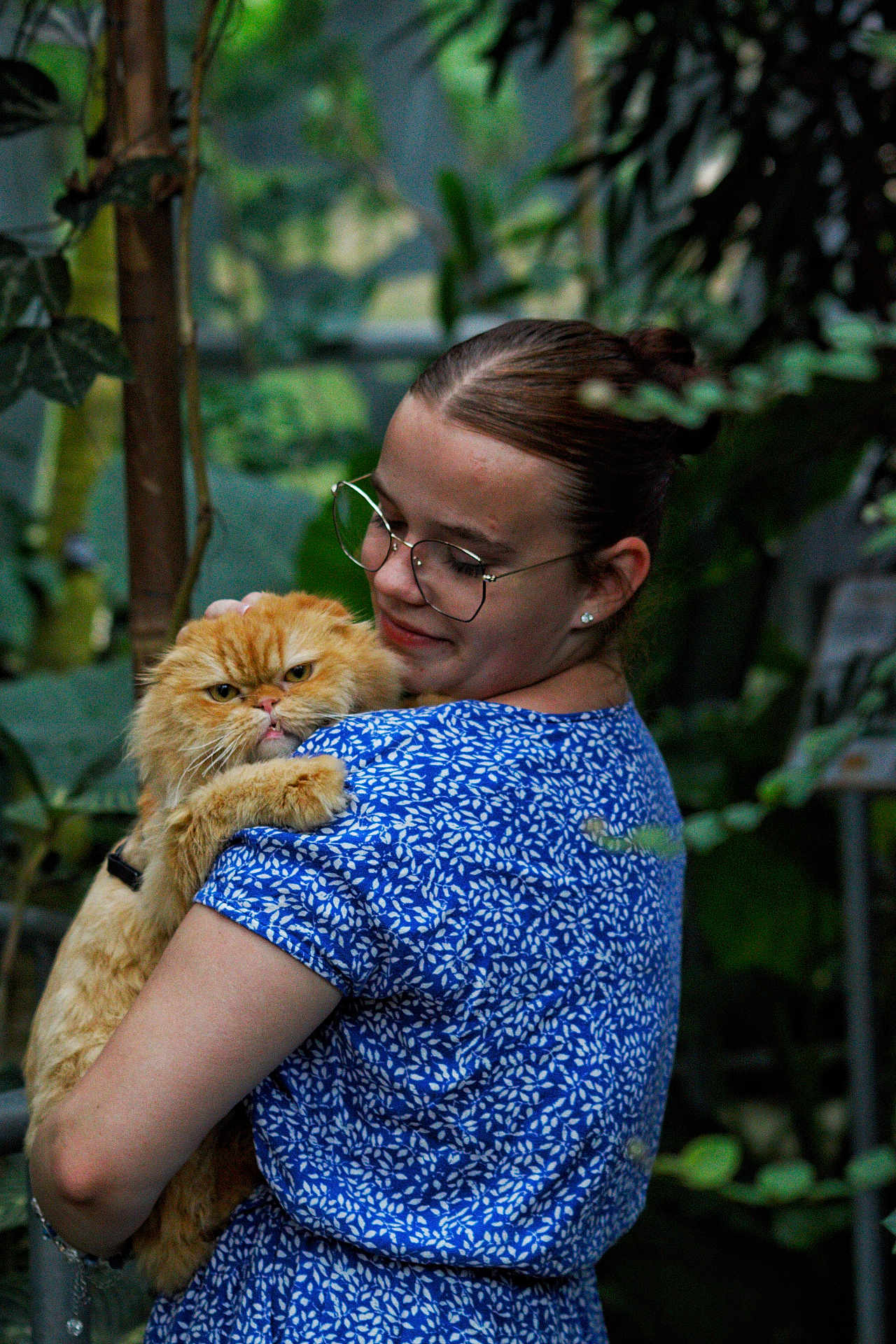 Atchoum participe au concours pour gagner de l'argent avec cette photo : woman, cat, glasses, blue_dress, fluffy_cat, orange_cat, indoor_garden, plants, greenery, pet, holding, portrait, animal, cute, expression, nature, casual, happy, love, affection
