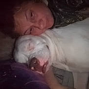 Rebel is registered to the contest to win money with this photo: bedtime, calm, closeup, companion, cozy, cuddle, dim_light, dog, face, friendship, indoor, person, pet, portrait, relaxation, resting, sleeping, snuggle, warm, white_dog