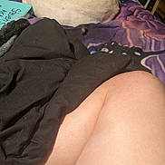 Lily joined the competition — help win amazing prizes! dog, white_dog, blanket, purple_blanket, person, arm, leg, indoor, resting, curled_up, sleeping, casual_clothing, relaxation, cozy, bed, furniture, human, skin, fabric, comfort