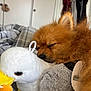 dog, sleeping, plush_toy, duck, bed, blanket, cozy, fur, pet, indoors, resting, orange_dog, stuffed_animal, cute, nap, soft, closeup, comfort, domestic_animal, relaxation