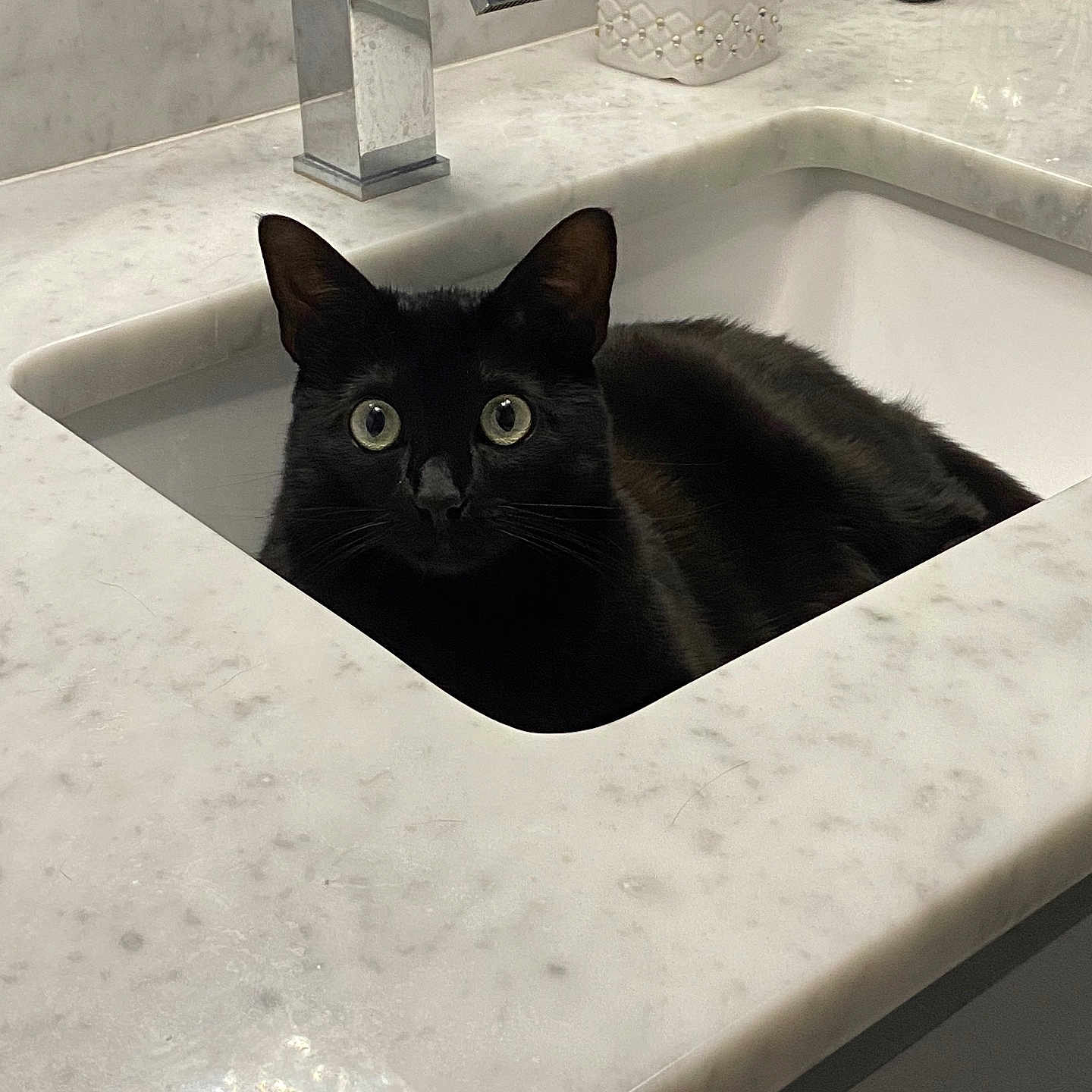 Sophie
