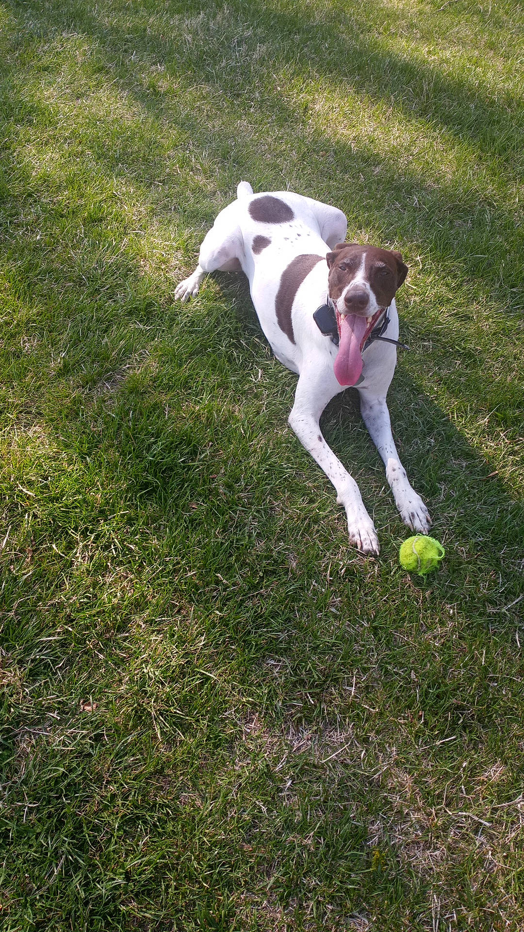 Gypsy Rose Mc Collum