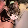 cat, person, face, selfie, tabby_cat, bathtub, indoor, closeup, pet, curious, animal, young_adult, skin, hair, expression, shoulder, whiskers, nose, eyes, funny_face
