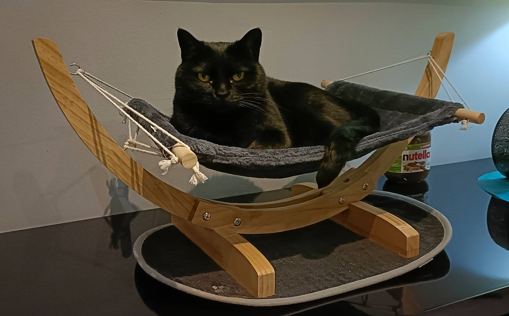 Bella a rejoint le concours — aidez-le/la à gagner de superbes lots ! armrest, art, carnivore, cart, cat, comfort, domestic_short_haired_cat, fashion_accessory, felidae, flowerpot, metal, pet_supply, sculpture, sitting, small_to_medium_sized_cats, stairs, tail, tire, wheel, whiskers