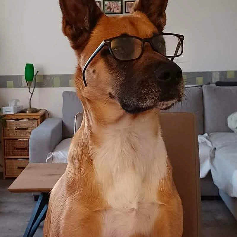 Pulco