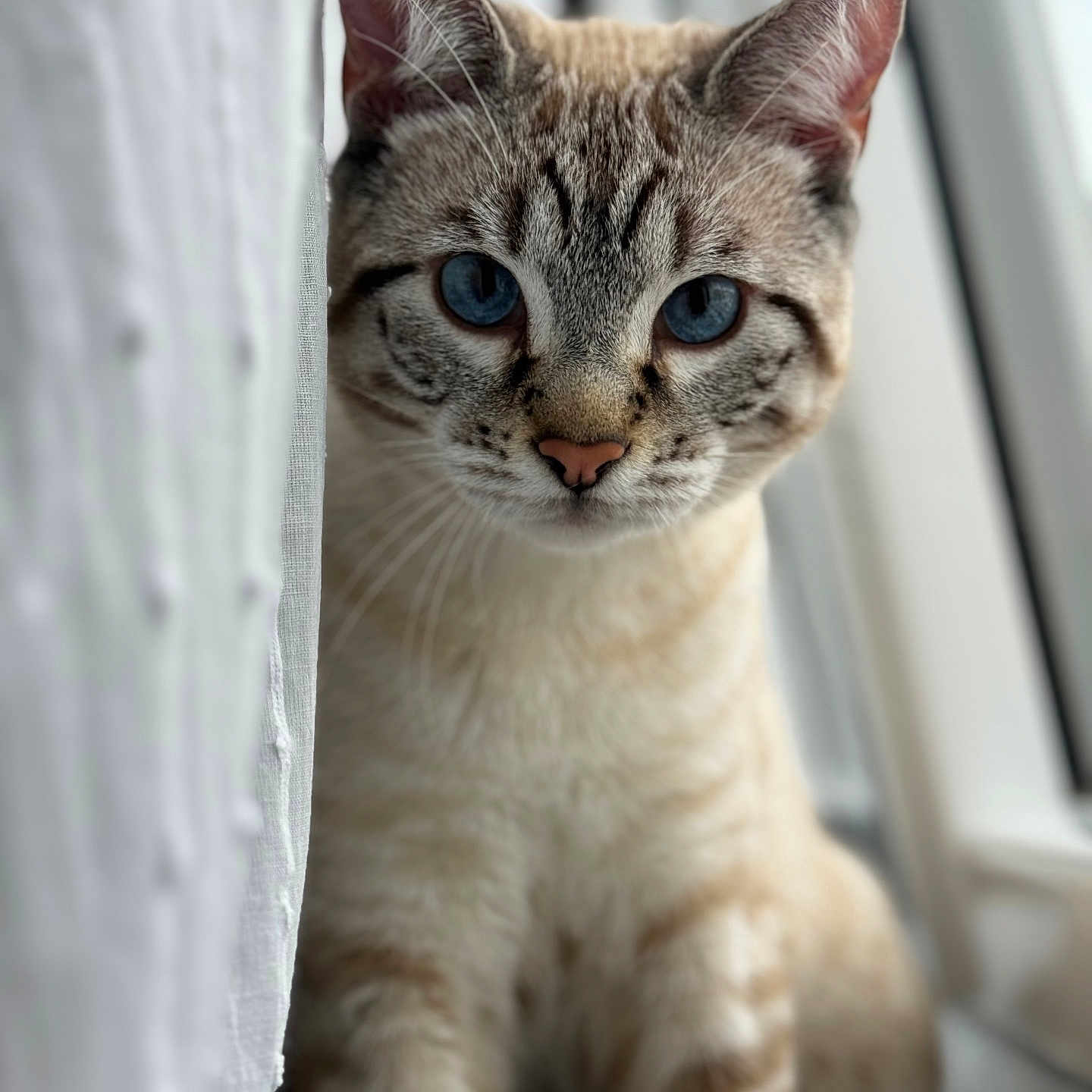 Sawyer