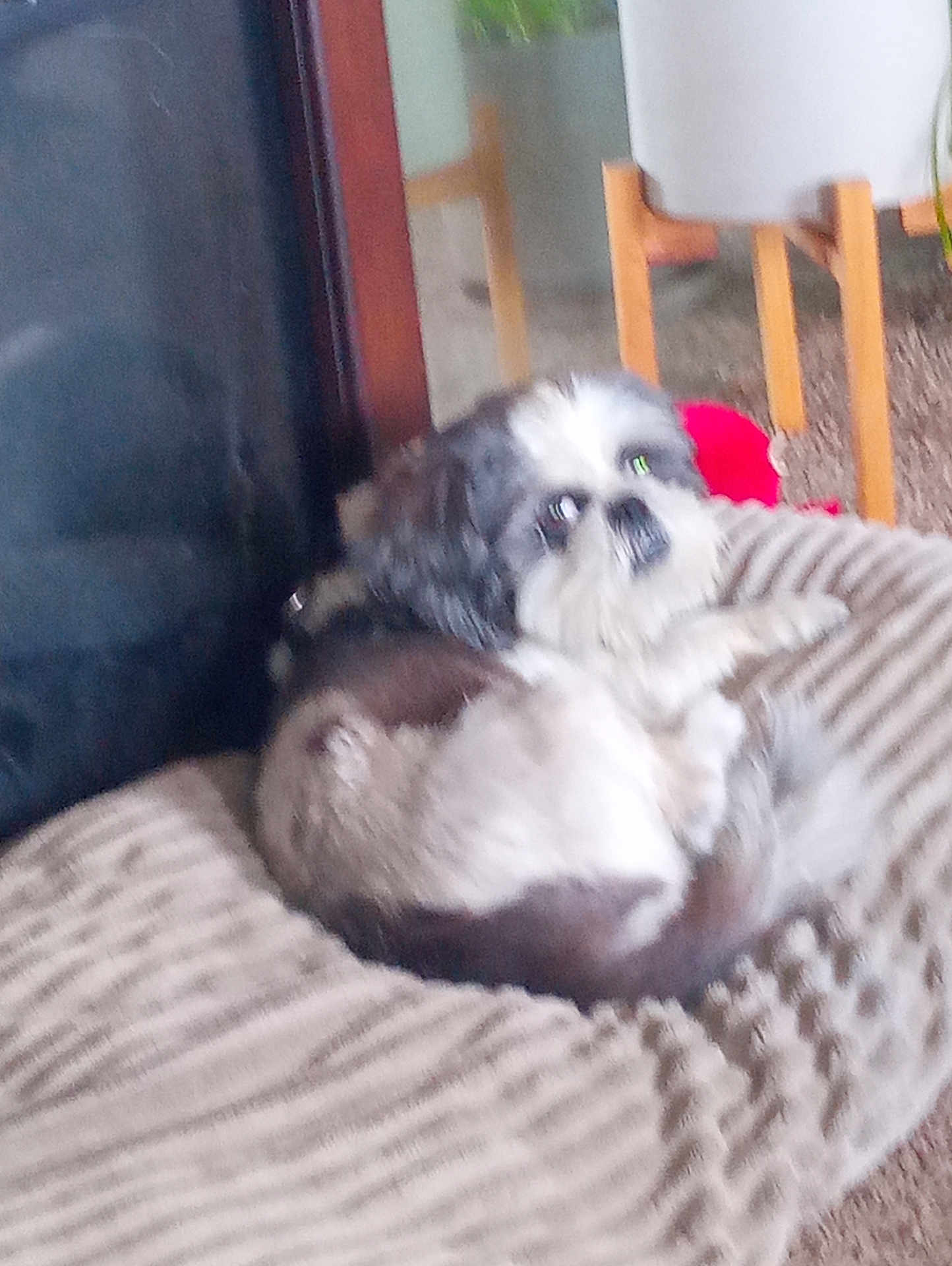 Charlie