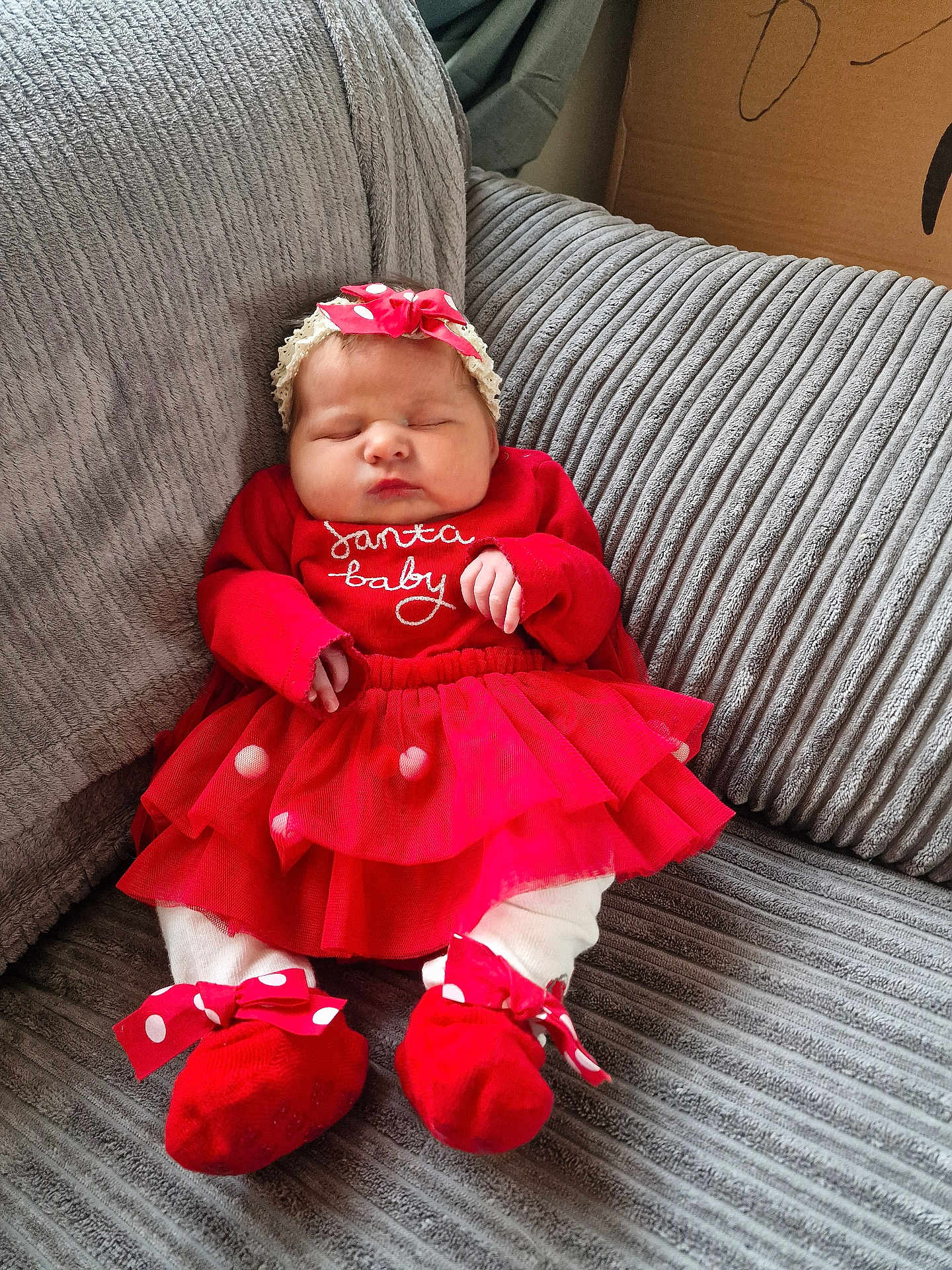 Flori is registered to the contest to win money with this photo: baby, infant, sleeping, red_clothing, headband, polka_dot, couch, gray_couch, soft_texture, festive, holiday, tutu_skirt, baby_shoes, white_tights, indoors, cute, peaceful, child, portrait, cozy