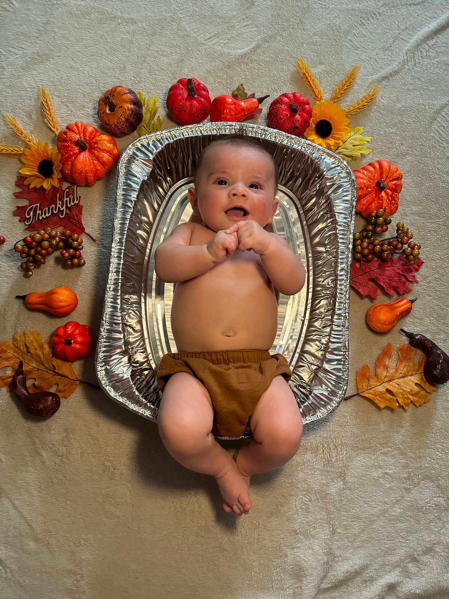 Beckett is registered to the contest to win money with this photo: baby, bed, diaper, face, flower, food, furniture, head, meal, newborn, person, petal, photography, plant, portrait, pottedplant, produce, pumpkin, squash, vegetable