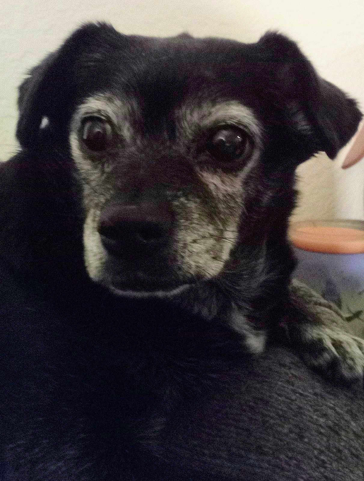 Peewee