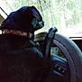 dog, black_dog, steering_wheel, car_interior, paw, collar, window, forest, trees, daylight, vehicle, dashboard, side_view, pet, domestic_animal, canine, outdoor_view, seat, road_trip, animal_in_car