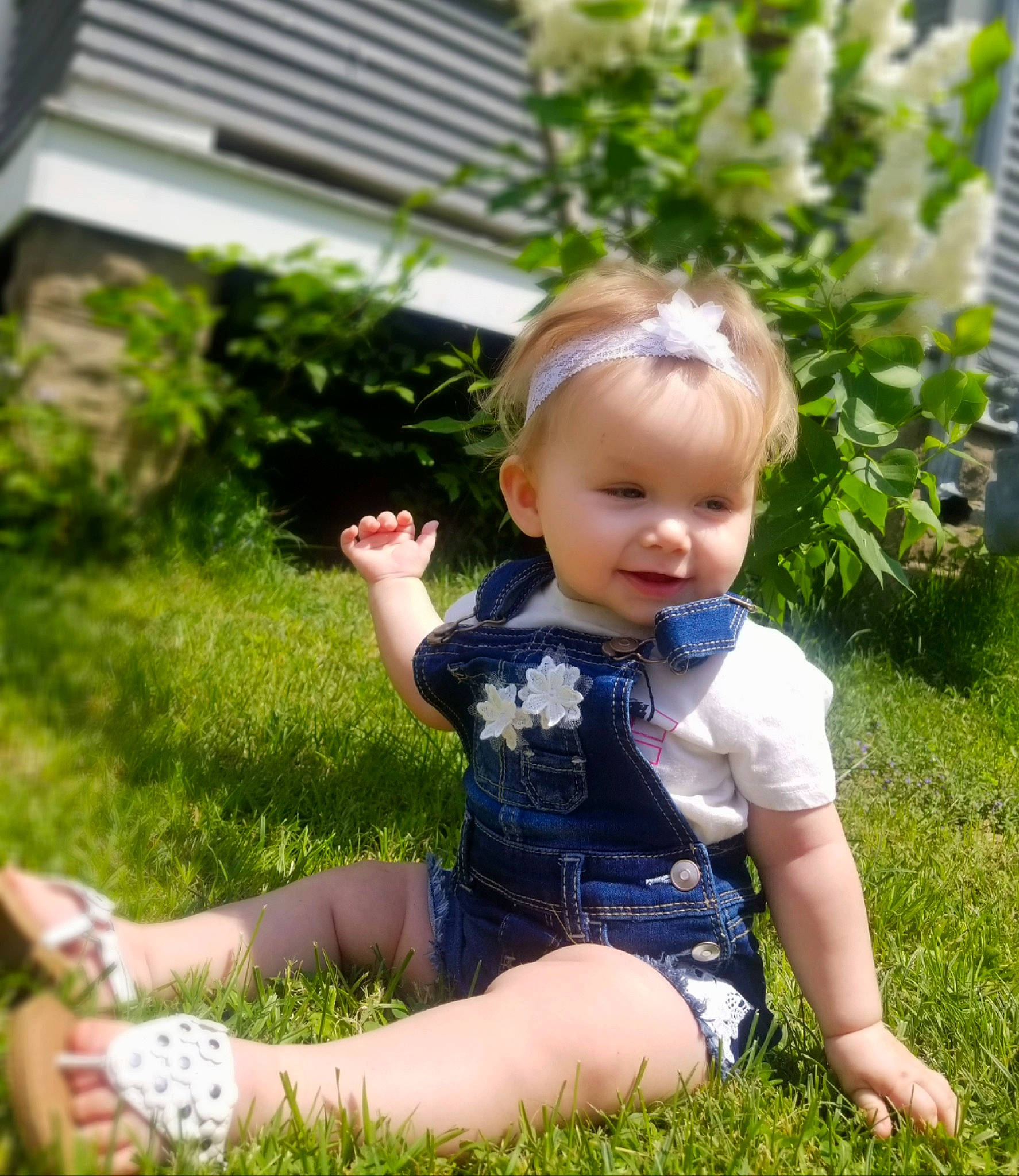 Elizabeth is registered to the contest to win money with this photo: baby, child, garden, grass, happy, lawn, meadow, person, plant, play, sitting, smile, summer, toddler, yard