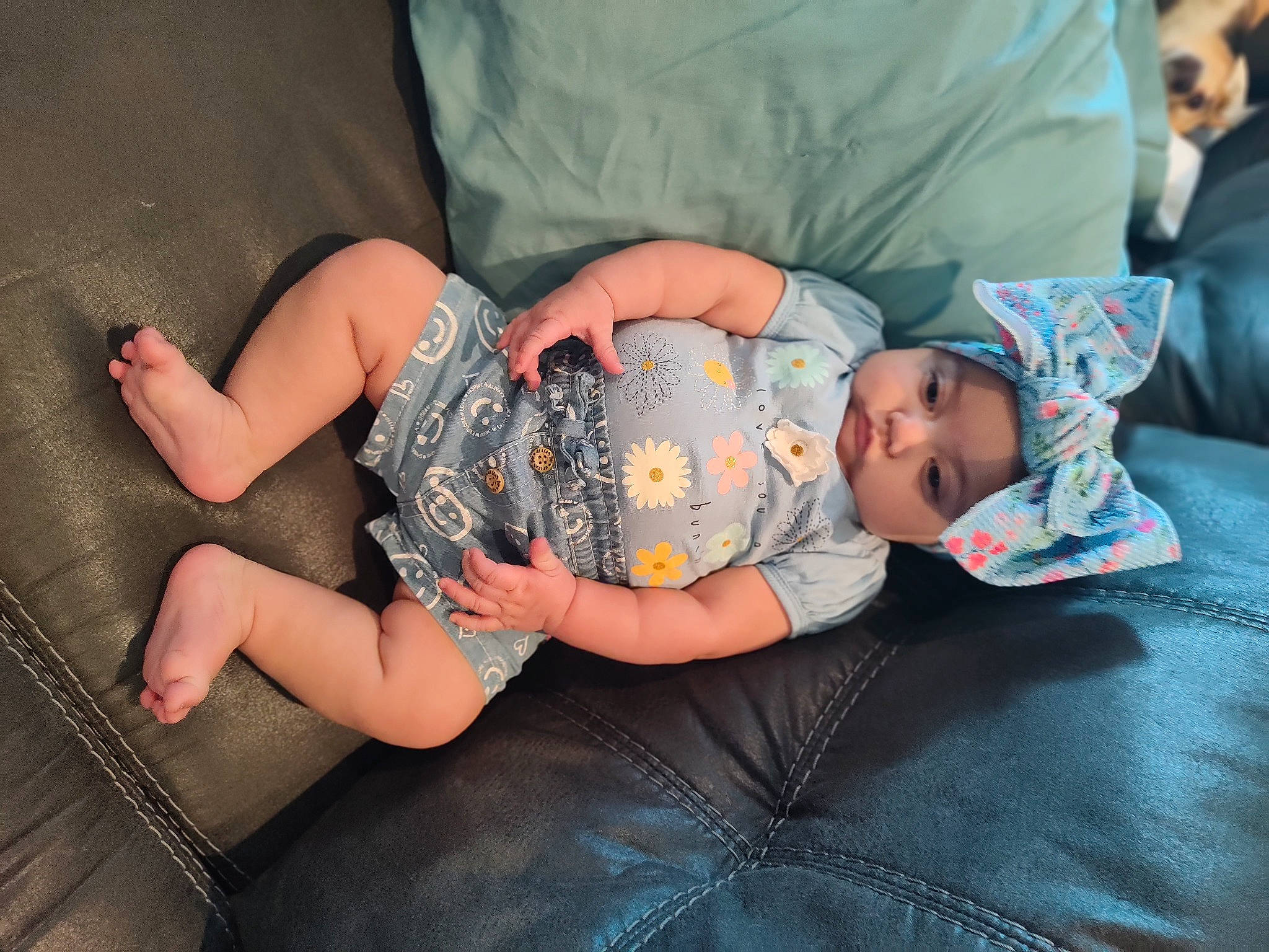 Aurora is registered to the contest to win money with this photo: baby, baby_toddler_clothing, child, comfort, couch, eye, finger, flash_photography, fun, grass, hat, head, headwear, human_leg, knee, lap, leg, person, sitting, thigh