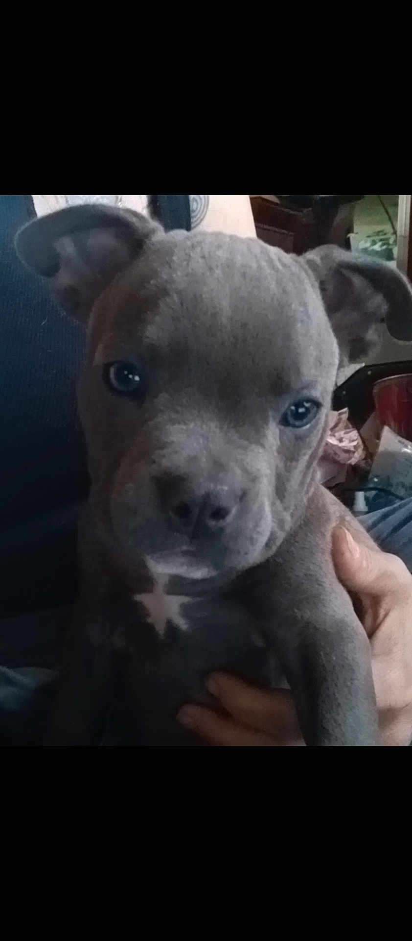 Sebastian