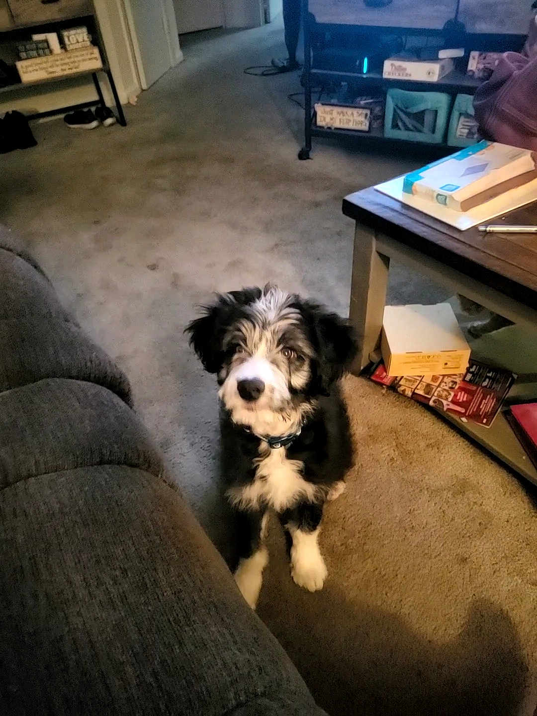 Max