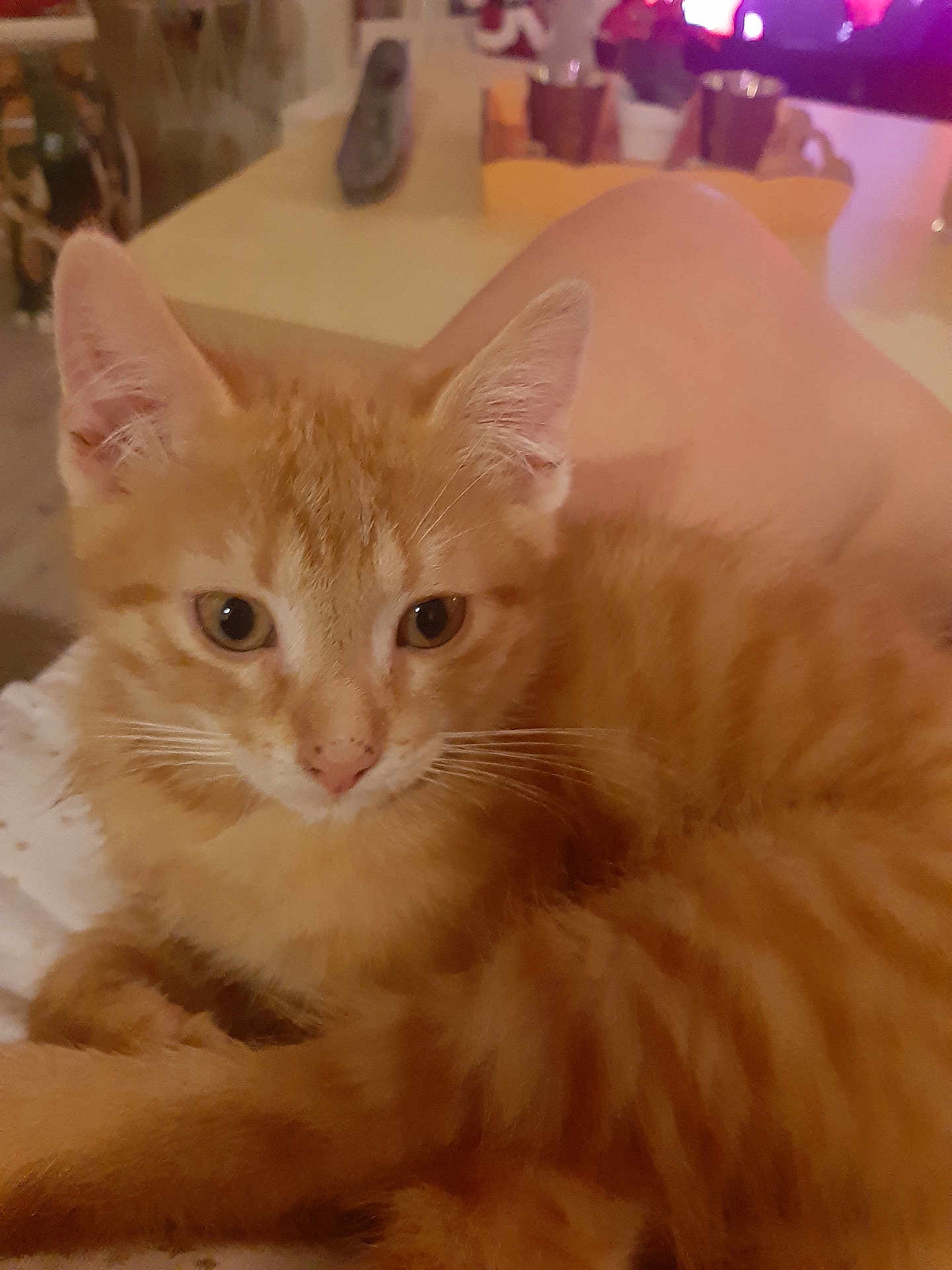 Caramel