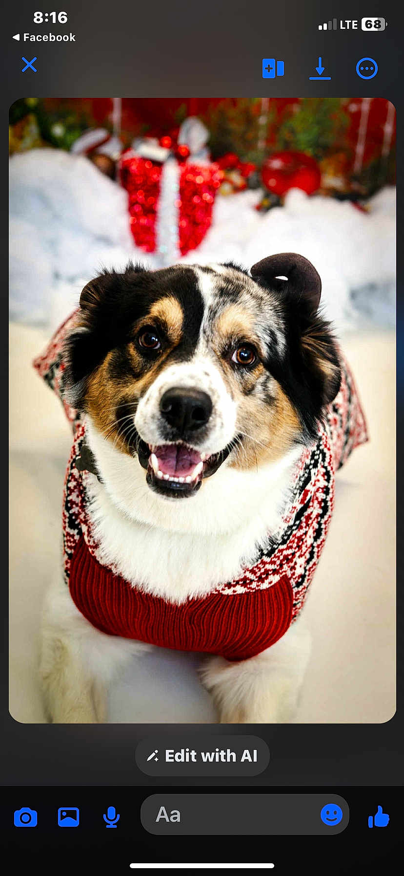 Klaus joined the competition — help win amazing prizes! dog, pet, smiling, sweater, holiday, christmas, red, white, fur, cute, festive, decorations, happy, portrait, close_up, animal, winter, indoors, background, celebration