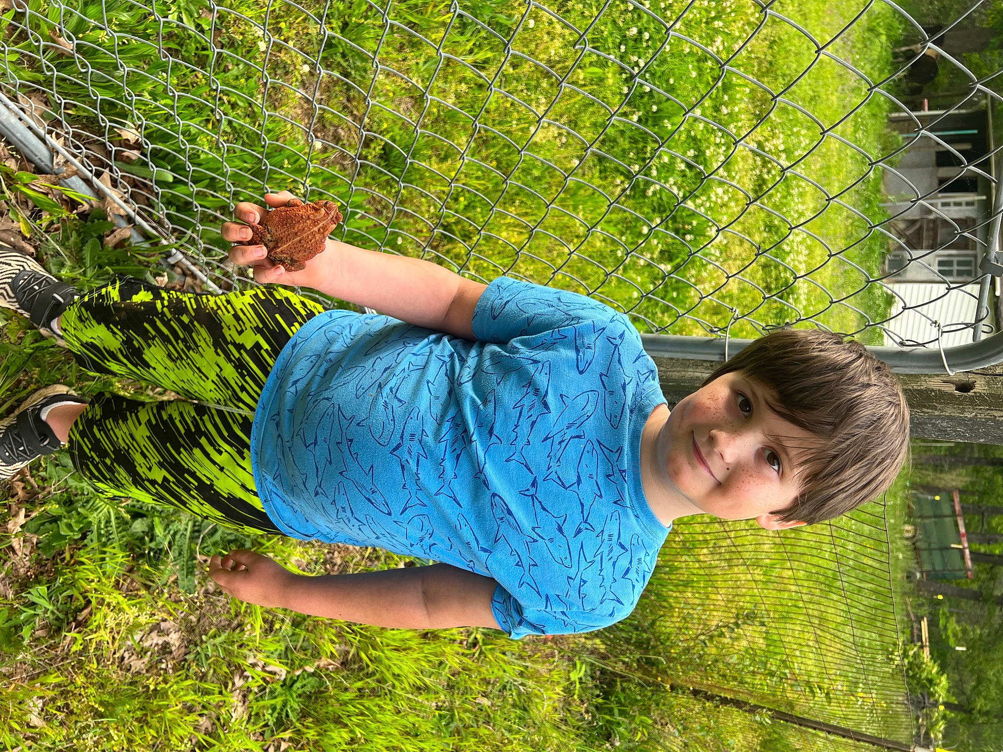Sawyer joined the competition — help win amazing prizes! child, denim, electric_blue, fun, garden, grass, grass_family, grassland, groundcover, happy, human_leg, joy, leisure, mesh, people_in_nature, person, plant, shrub, sitting, smile