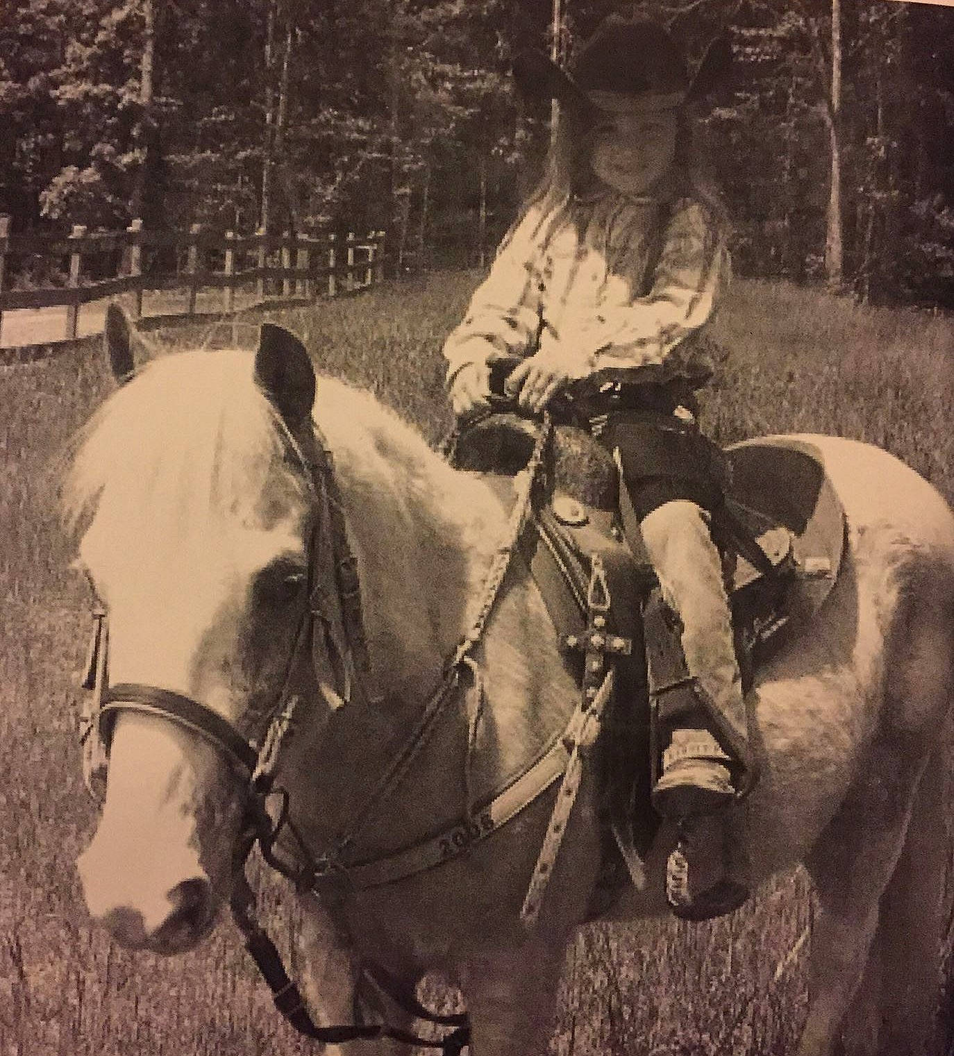 Kayleigh joined the competition — help win amazing prizes! animal_sports, bridle, equestrian_sport, equestrianism, halter, hat, headgear, horse, horse_supplies, horse_tack, landscape, monochrome, outdoor_recreation, pack_animal, person, plant, recreation, rein, saddle, tree