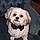 Charlie