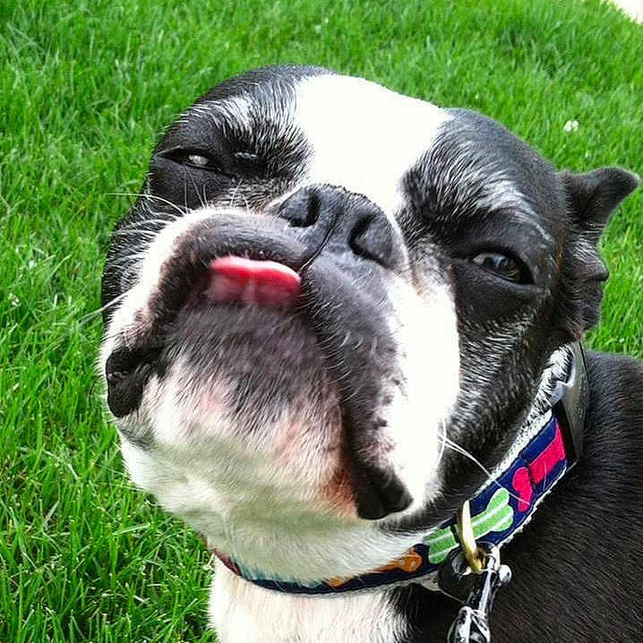 Lucy is registered to the contest to win money with this photo: