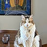 Mischa is registered to the contest to win money with this photo: cat, fluffy, table, indoor, painting, art, blue_dog_painting, glass_cups, wooden_table, sitting, portrait, animal, pet, feline, domestic_cat, looking_at_camera, cozy, home, decor, yellow_eyes