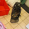 cat, tabby, pet_carrier, floor_tiles, orange_bin, cushion, curtain, green_curtain, cat_food_bag, indoor, stretching, pet_accessory, black_carrier, animal, relaxed, home, paws, curious, feline, tile_floor