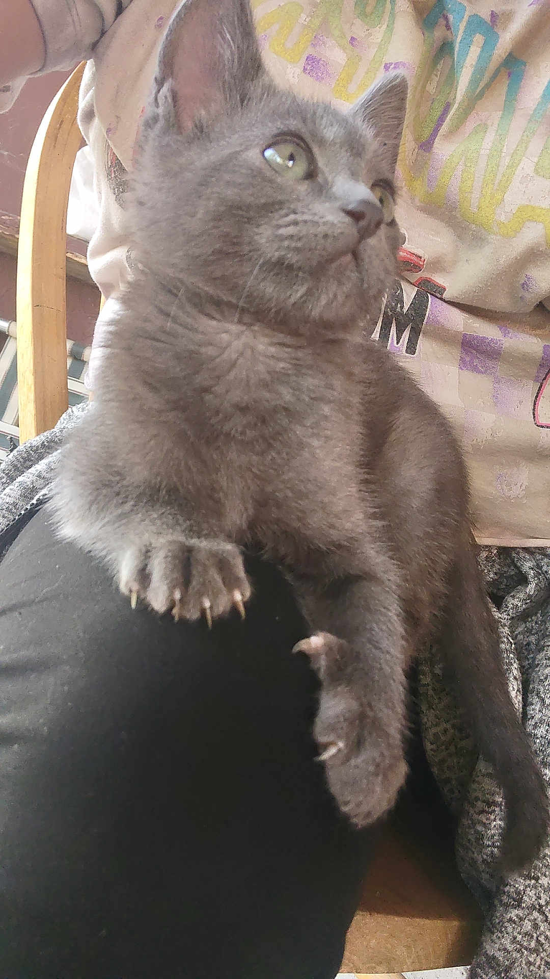 Smudge