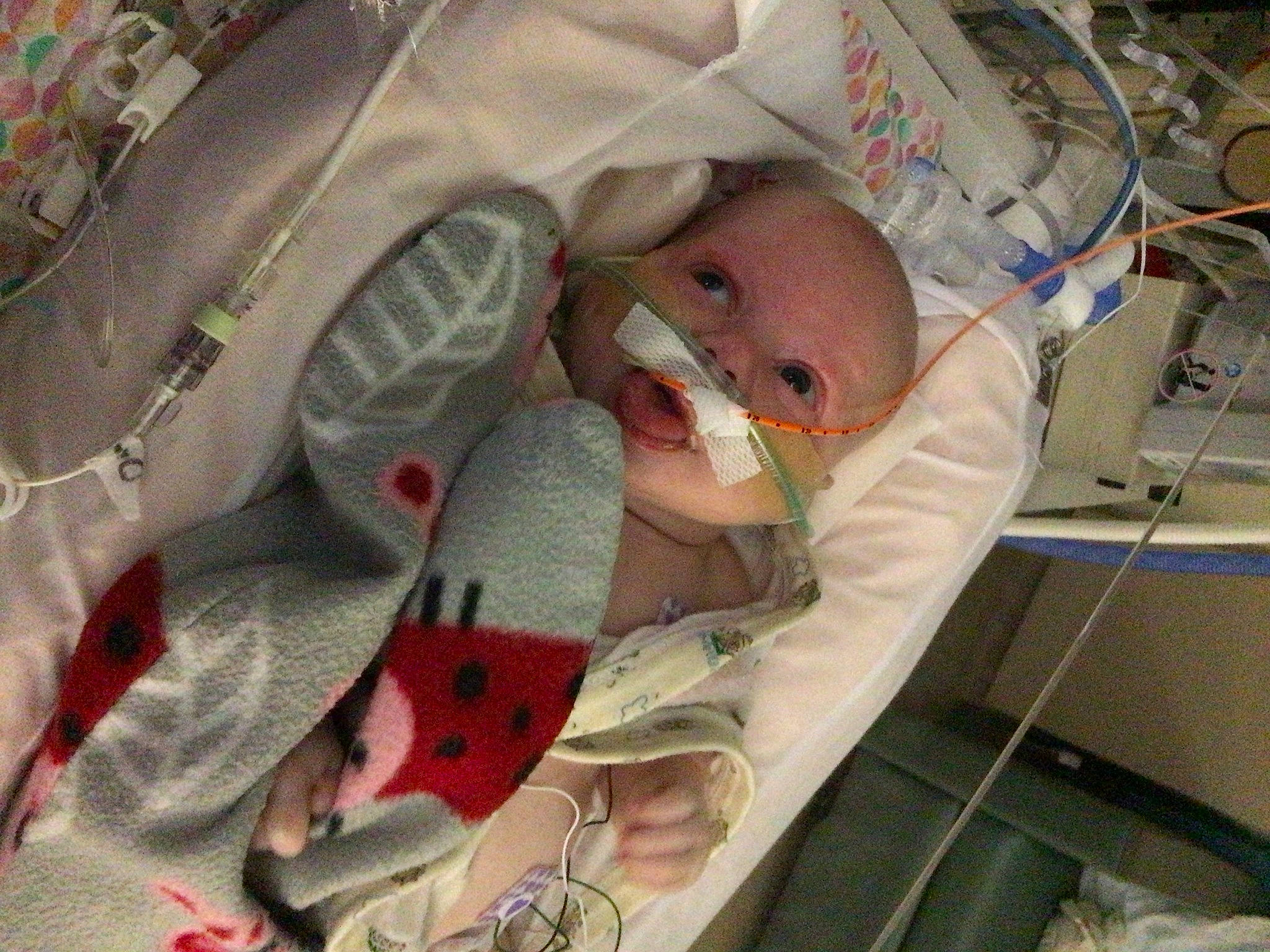 Elana joined the competition — help win amazing prizes! baby, baby_carriage, baby_products, car_seat, carmine, child, comfort, event, eye, health_care, helmet, hospital, medical, medical_equipment, medical_procedure, patient, person, personal_protective_equipment, room, service