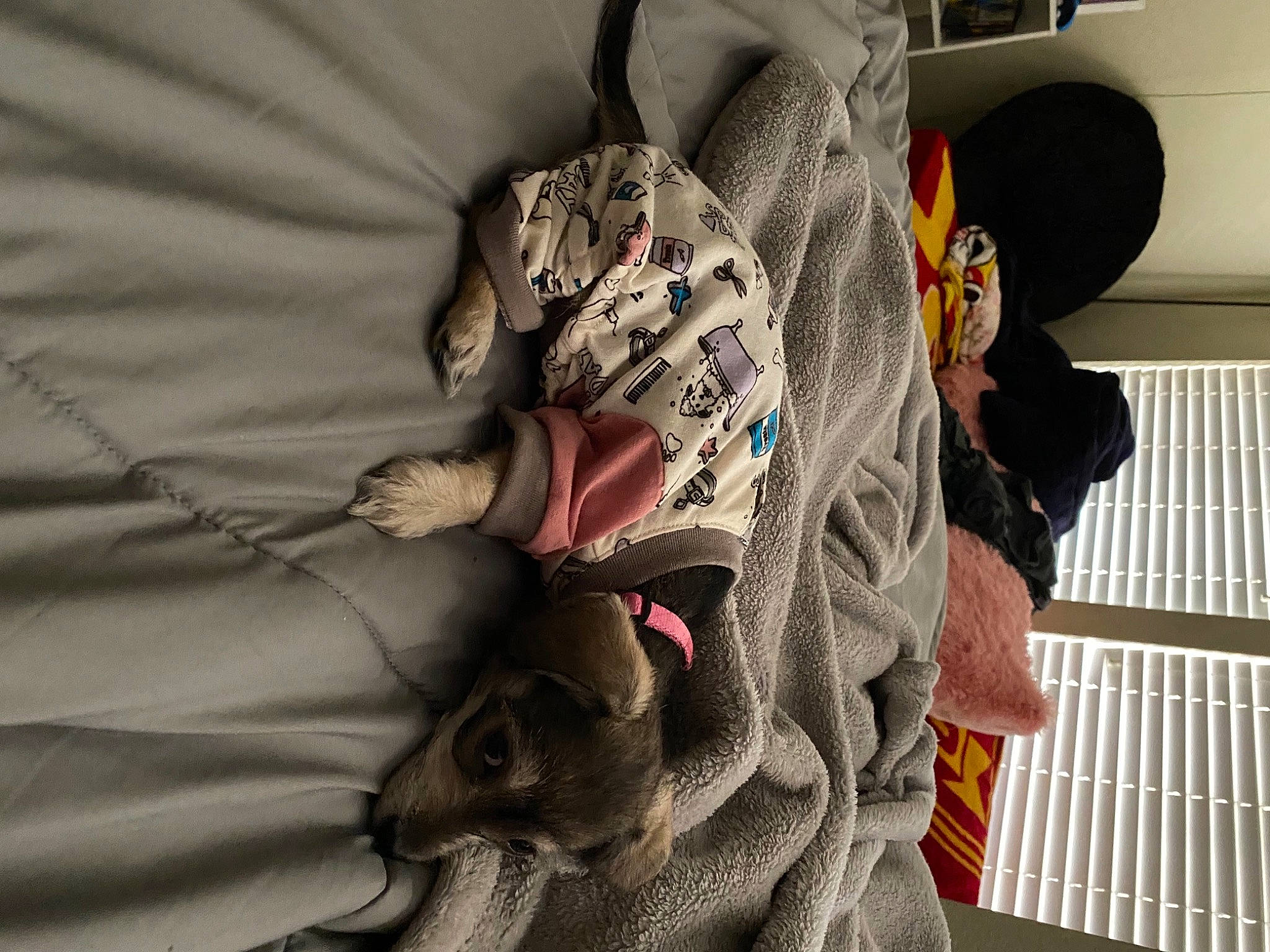 Mamas is registered to the contest to win money with this photo: child