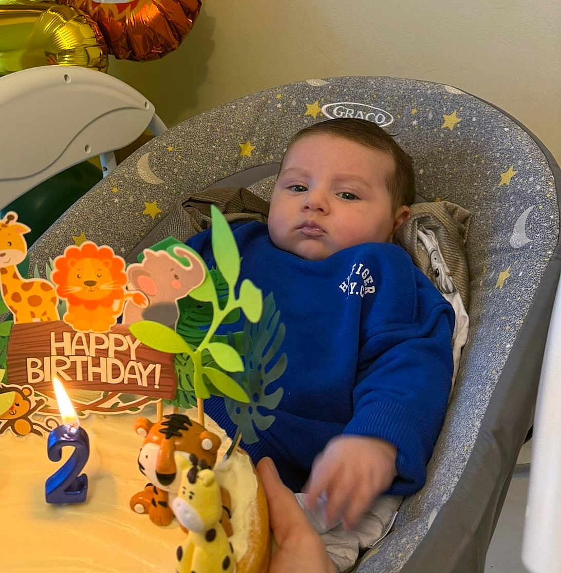 Liam joined the competition — help win amazing prizes! baby, birthday, cake, candle, high_chair, animal_toys, blue_sweater, celebration, cute, decorations, giraffe, lion, elephant, tiger, giraffe_toy, hand, indoors, party, child, face