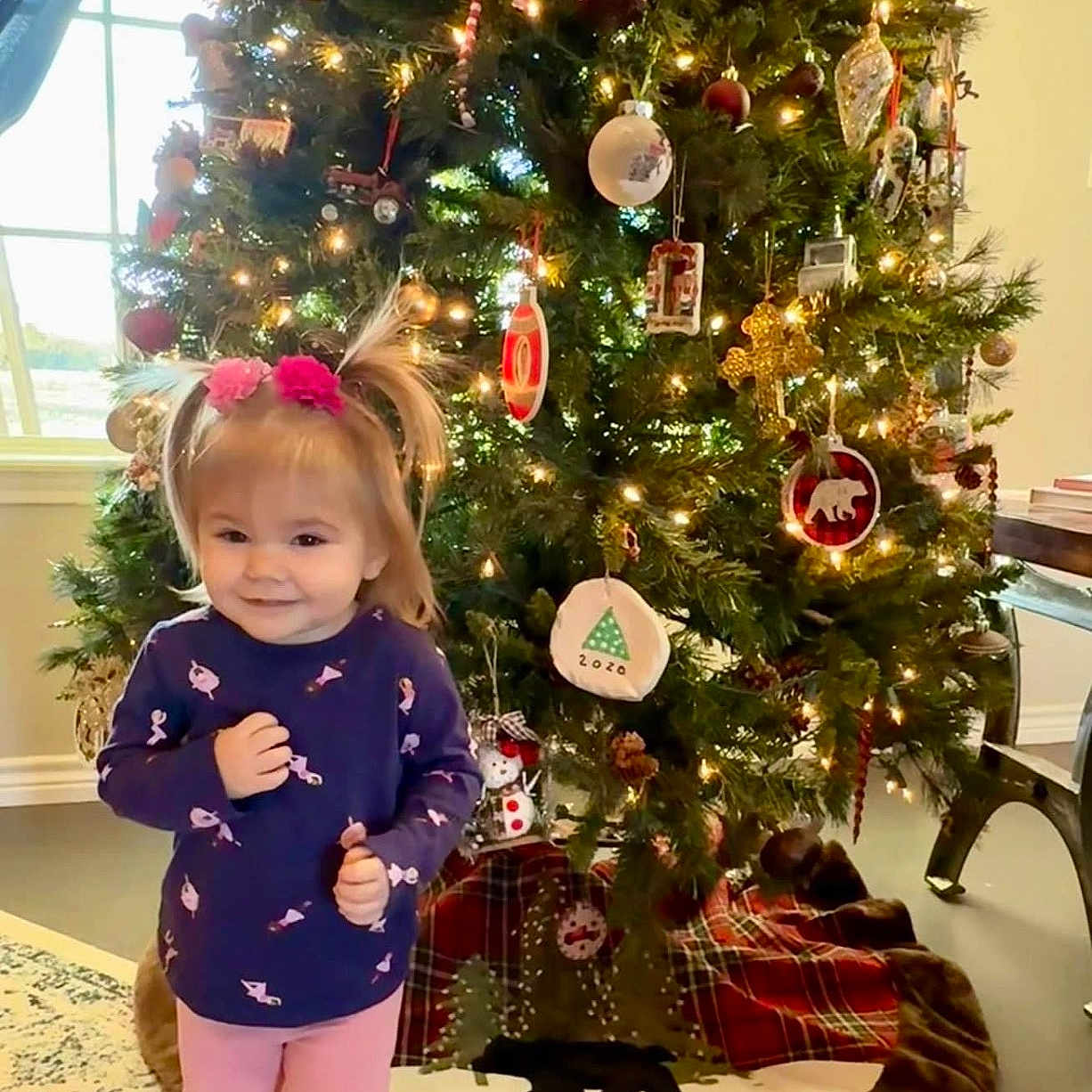 Harper is registered to the contest to win money with this photo: animal, cat, child, christmas, christmasdecorations, clothing, face, female, festival, girl, head, hosiery, lighting, person, photography, plant, portrait, pottedplant, sock, tree