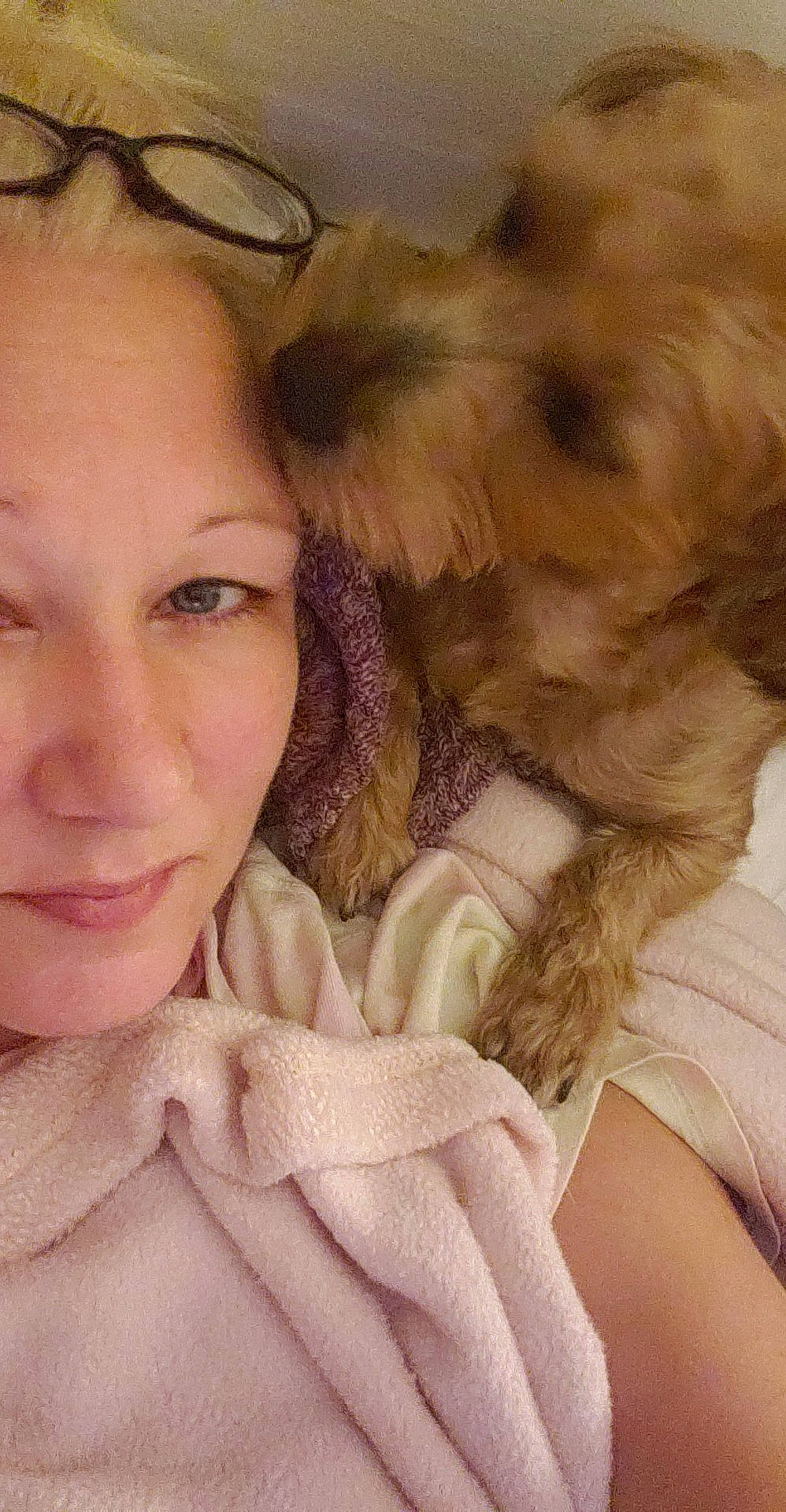 Khloe joined the competition — help win amazing prizes! carnivore, comfort, companion_dog, dog, dog_breed, ear, eye, eyebrow, eyelash, eyewear, fawn, hair, happy, head, iris, lip, nose, organ, shoulder, skin