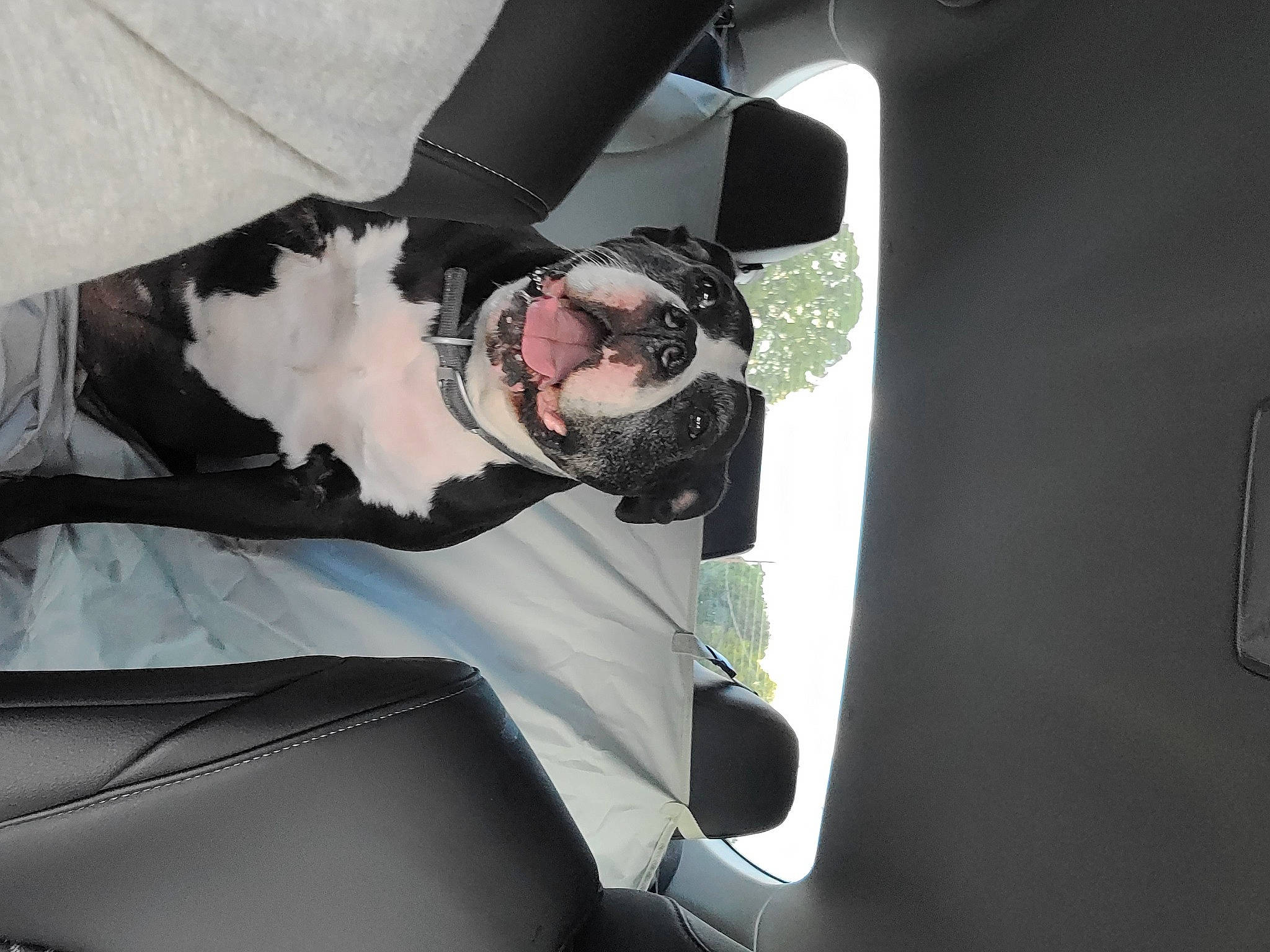 Trouble is registered to the contest to win money with this photo: auto_part, automotive_design, automotive_exterior, automotive_lighting, automotive_window_part, eyewear, gesture, glass, goggles, helmet, hood, luxury_vehicle, motor_vehicle, personal_luxury_car, personal_protective_equipment, sunglasses, vehicle, vehicle_door, window, windshield