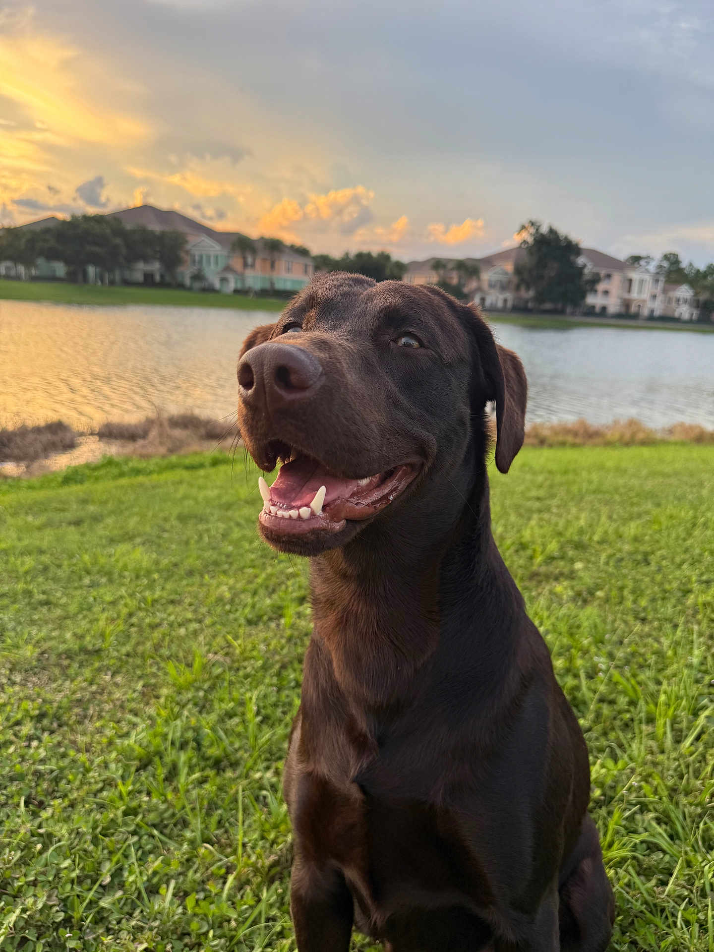 Duke